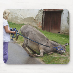 Avslaxad Donkey Musmatta