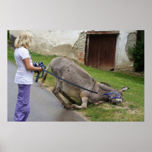 Avslaxad Donkey Poster