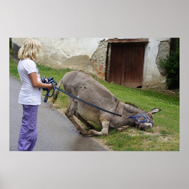 Avslaxad Donkey Poster (Framsidan)