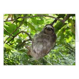 Avslaxad lutning i naturen hälsningskort