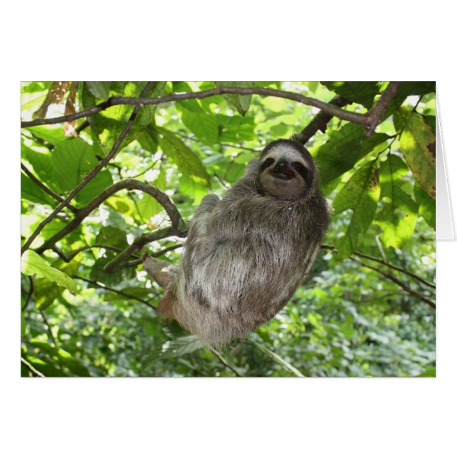 Avslaxad lutning i naturen hälsningskort (Framsidan Horizontal)