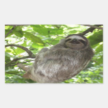 Avslaxad lutning i naturen