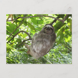 Avslaxad lutning i naturen vykort