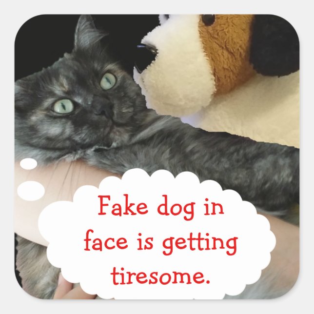 Avslaxade kattfästare av RoseWrites Fyrkantigt Klistermärke (Framsida)