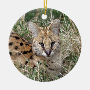 Avslaxning av serval av katt i gräs julgransprydnad keramik