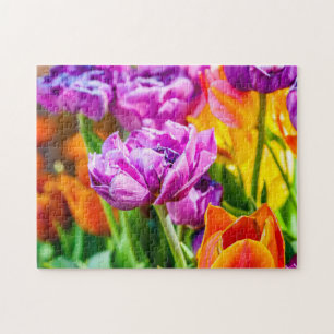 Avslöjande Lila Parrot Tulip Flowers i Vår Pussel