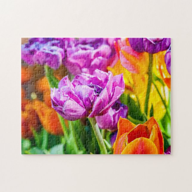 Avslöjande Lila Parrot Tulip Flowers i Vår Pussel (Horisontell)