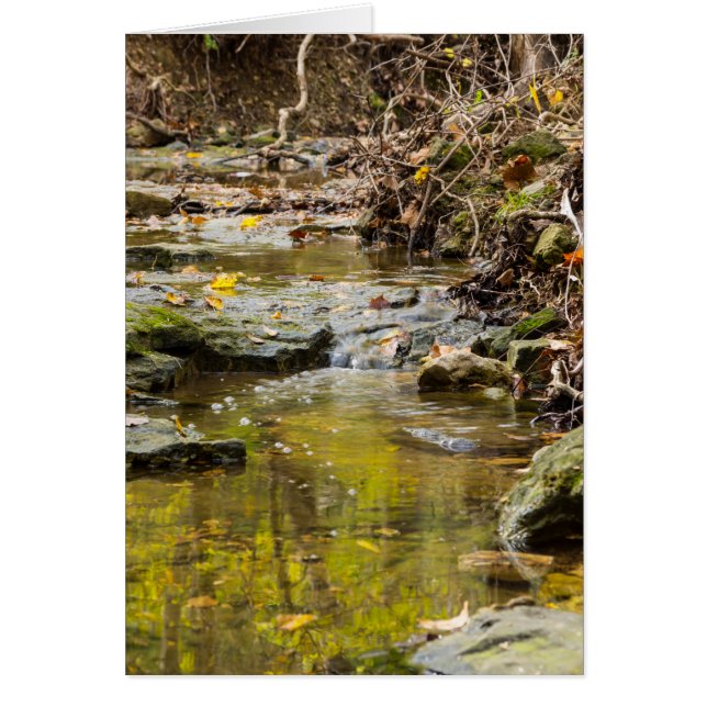 Avslöjande vid Nordvåren OBS Kort (Framsidan)