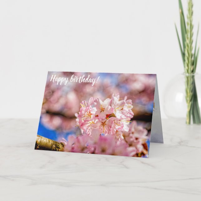 Avslöjning och Rosa av Sakurablommor i Vår Kort (Framsida)