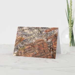 Avslut av Petrified Log I Kort