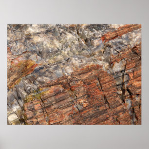 Avslut av Petrified Log I Poster