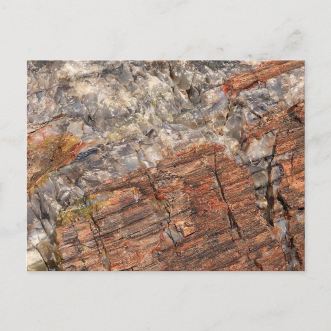 Avslut av Petrified Log I Vykort (Framsida)