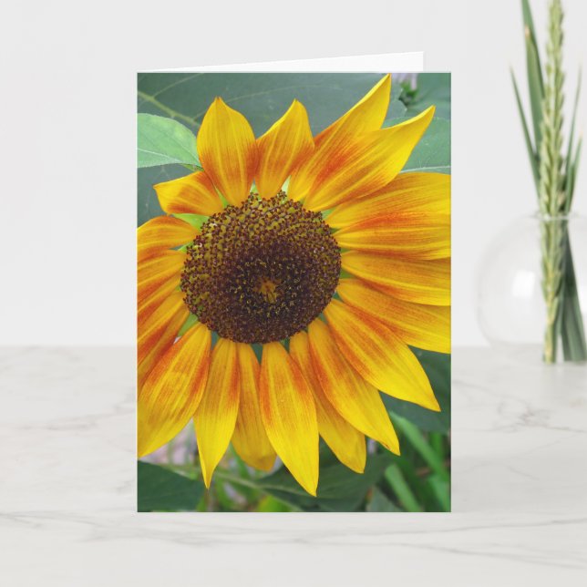 Avsluta av sommarsolroskort kort (Framsida)