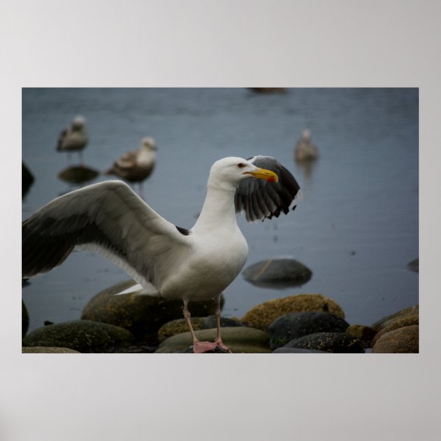 Avsluta inte utskrift poster (Framsidan)