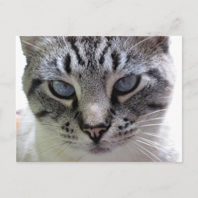 Avsluta pixikon vykort (Framsida)