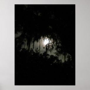 Avslutande Mörk Natt Poster