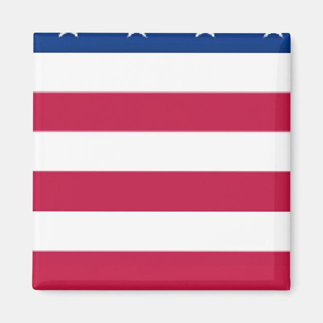Avsnitt 5 av 8 avdelningar - US FLAGGA - Magnet (Framsidan)
