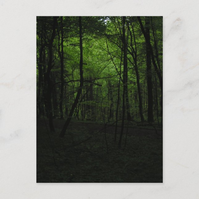 Avstående mörk vykort (Framsida)