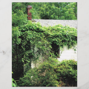 Avstående Vita huset i Skogen