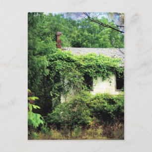 Avstående Vita huset i Skogen Vykort