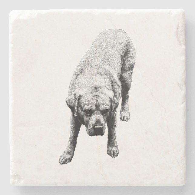 Avstämd styrka stenunderlägg (Framsidan)