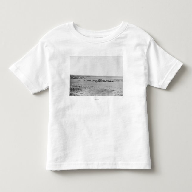 Avståndskänslig syn på Cowboys med nötkreatursbesä T Shirt (Framsida)