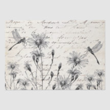 Avståndssida för DRagonfly för STORA Franskar