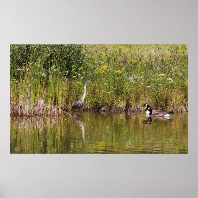 Avstängning Poster (Framsidan)