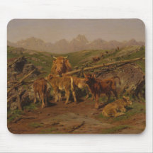 Avvänjning av kalvar (uppfödning av nötkreatur)