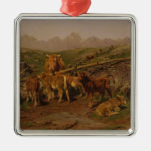 Avvänjning av kalvar (uppfödning av nötkreatur på