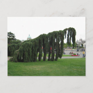 Avvisa från en skräckfilm? vykort