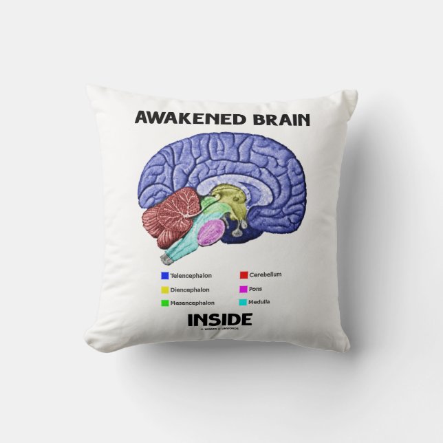 Awakded Brain Inside (Brain Anatomy) Kudde (Framsida)