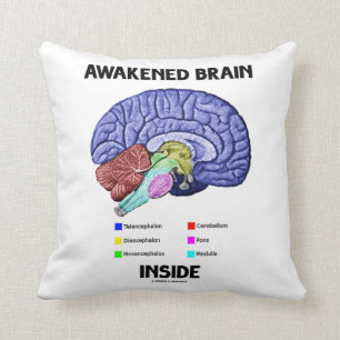 Awakded Brain Inside (Brain Anatomy) Kudde