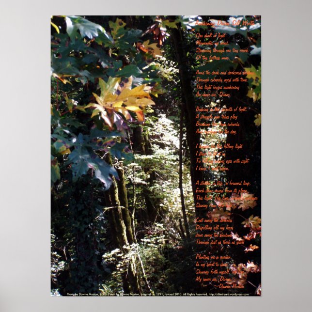 Awakening Divine Self Worth Poster (Framsidan)