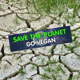 Awereness Vegan Bildekal