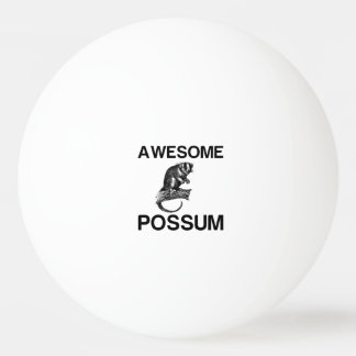 AWESOME POSSUM PINGISBOLL