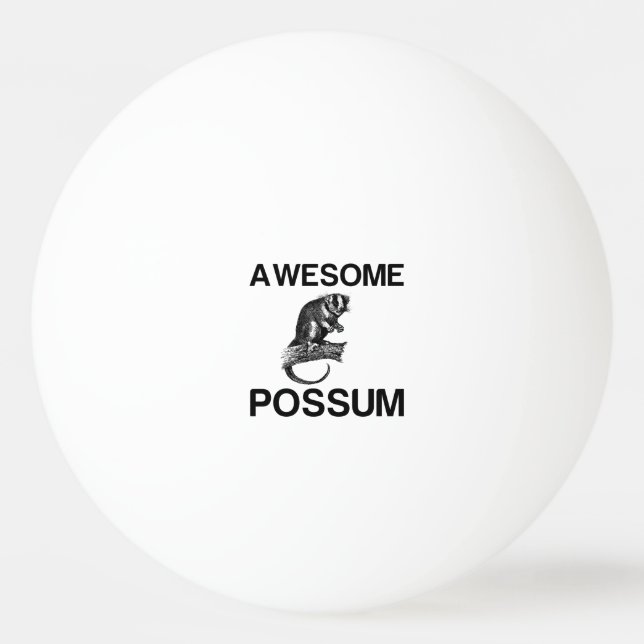AWESOME POSSUM PINGISBOLL (Framsidan)
