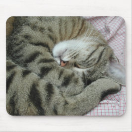 Awkward Cat-viloläge Musmatta