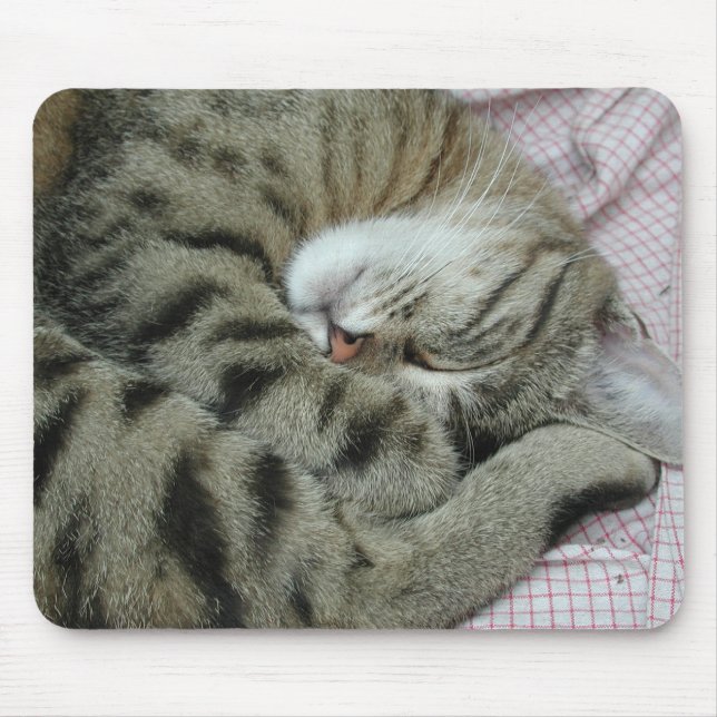 Awkward Cat-viloläge Musmatta (Framsidan)