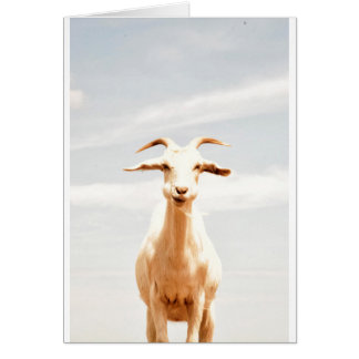 Awkward One Hälsningskort