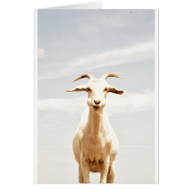 Awkward One Hälsningskort (Framsidan)