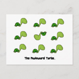 Awkward Turtle Vykort