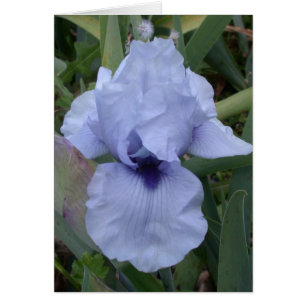 Awsome Blue Iris Card Hälsningskort