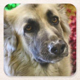 Aww Underlägg Papper Kvadrat