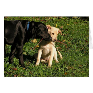 Awww… måste jag att dela? OBS kort