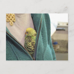 Awww, så Cute!!!!!!!!!!!!!! Vykort