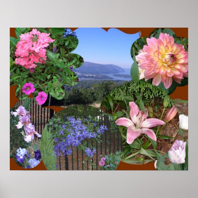 AX- Natur Älskare Collage Poster (Framsidan)