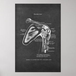 Axel Ortopedisk muskeldekan i gemensam anatomi Poster