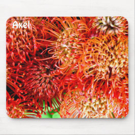 AXEL ~ Personlig Striking Banksia ~ Musmatta