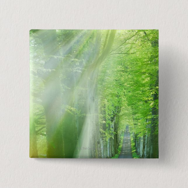 Axlar av solljus knapp (Framsida)